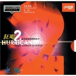 DHS Hurricane 2