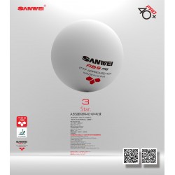 Sanwei *** 40+ ABS- Pack de 6 balles