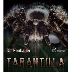 Dr Neubauer Tarantula