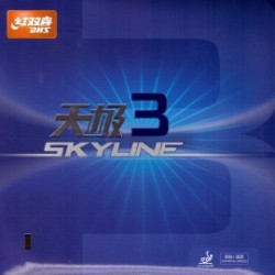 DHS Skyline 2