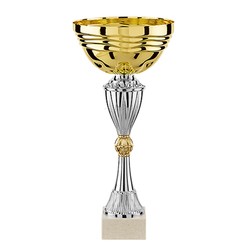 Coupe or-argent