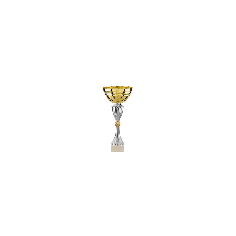 Coupe or-argent