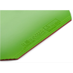 DHS Hurricane 9 vert 37'