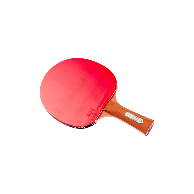 ANDRO Pro 500 RX