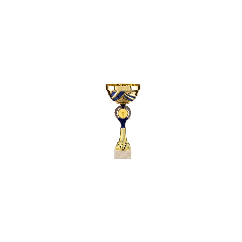 Pokale blau-gold