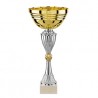 Coupe or-argent