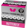 BUTTERFLY Trainingsball 40+