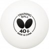 BUTTERFLY Trainingsball 40+