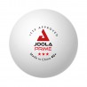 JOOLA PRIME 40+  6 Balls